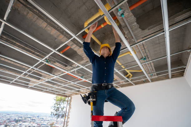 Best Plumbing Repair Near Me  in West Hammond, NM