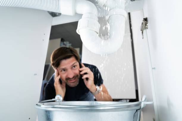 Best Clogged Drain Plumber  in West Hammond, NM