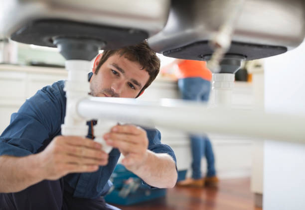 Best Drain Cleaning Services  in West Hammond, NM